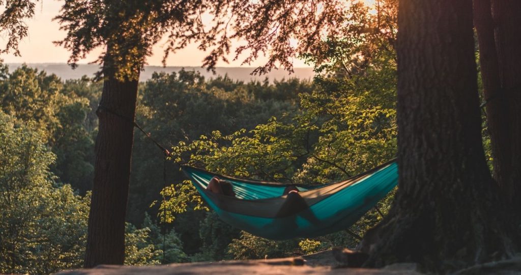 Best Trees for a Hammock? I Arbor Hills Trees Omaha, Elkhorn