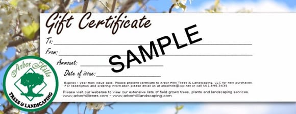Sample Gift Certificate