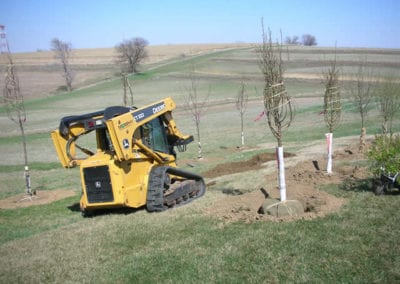 Iowa Planting Site